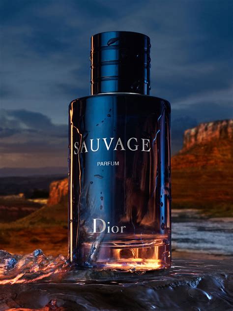 rossmann dior sauvage|sauvage Dior cost.